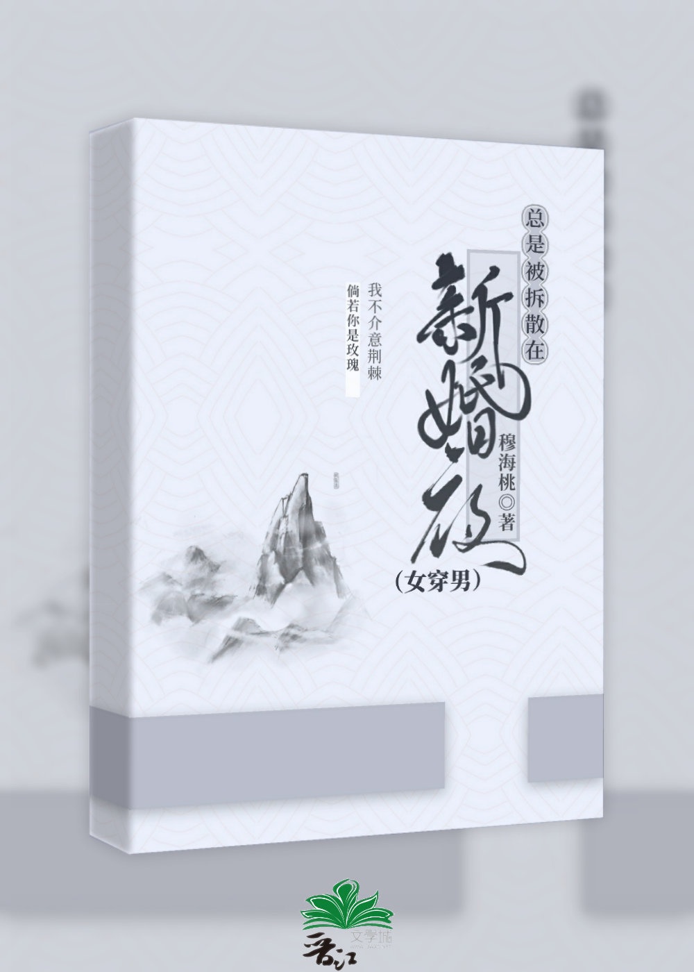 总是被拆散在新婚夜（女穿男）